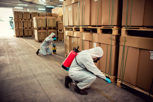 Best Residential Pest Control  in Merlin, OR