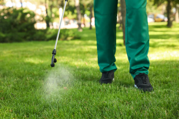 Best Wasp Removal Services  in Merlin, OR