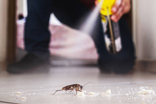Best Affordable Pest Control Services  in Merlin, OR