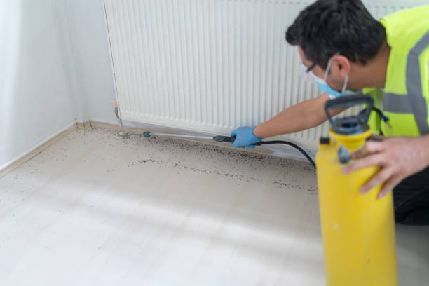 Best Pest Prevention Services  in Merlin, OR