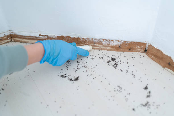 Best Best Pest Control Companies  in Merlin, OR